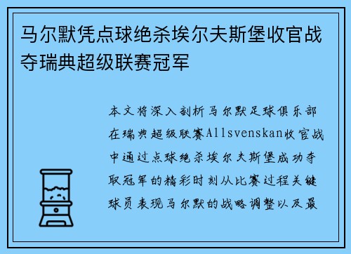 马尔默凭点球绝杀埃尔夫斯堡收官战夺瑞典超级联赛冠军